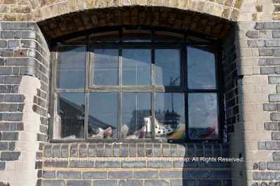 Window in the old Keiller Marmalade factory, Tay Wharf, Silvertown, London E16.