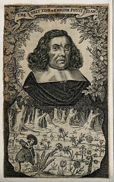 Robert Turner, doctor and translator